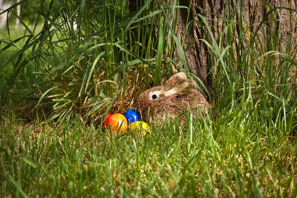 Tempo pasquale con decorazione coniglio e uova — Foto Stock