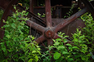 doğal paslı büyümüş tekerlek