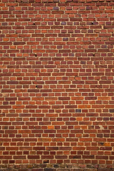 Bickstone 壁の背景 — ストック写真