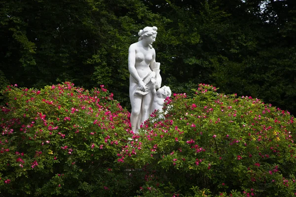 Baroque sculpture with rose bush — Stock Photo, Image