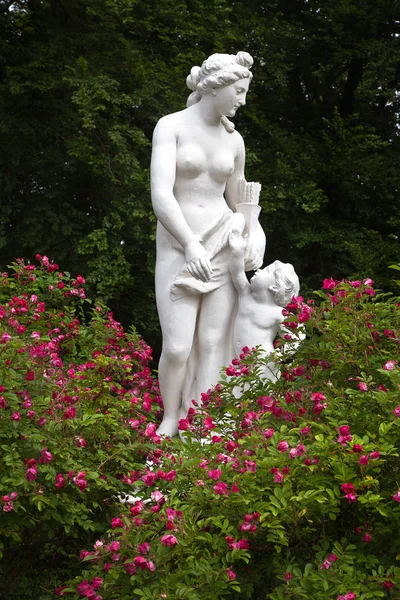 Baroque statue with rose bush — Stock Photo, Image