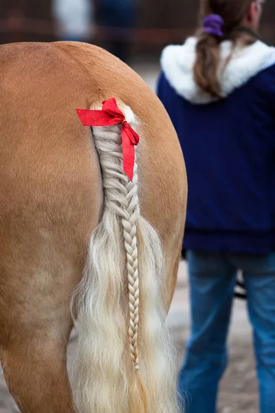 braided tail of a horse