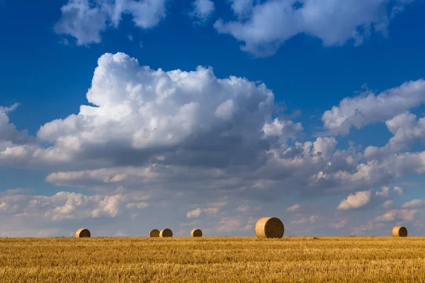 Landscape with straw balls — Stock Photo, Image