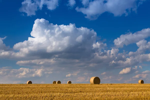 Paysage avec des boules de paille — Photo