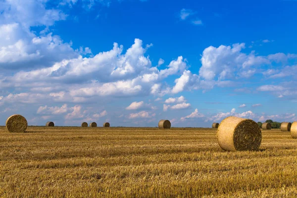 Straw balls on a field — Stock Photo, Image