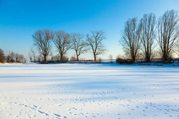 Göl ile kış manzarası