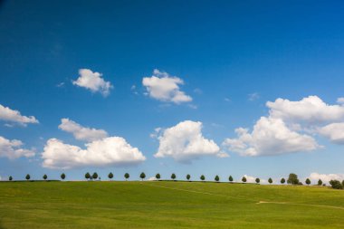 Ağaçlı ve bulutlu manzara