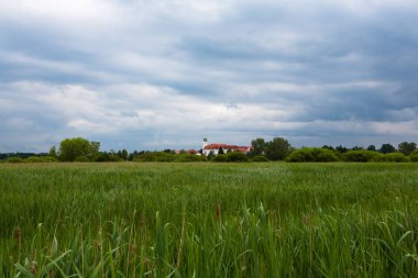 Kötü Buchau ve onun reed ciğeri
