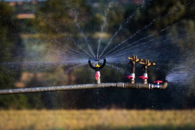 ayrıntılı olarak yapay sulama
