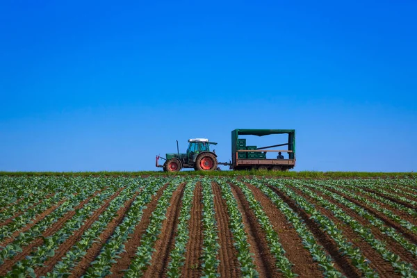 Traktör römork sahada ile