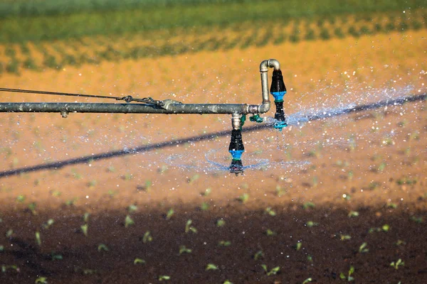 Irrigazione dei campi in agricoltura — Foto Stock