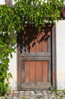 üzüm ile eski kapı