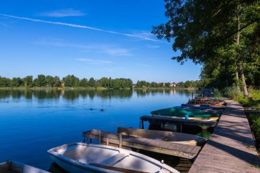 kürekli tekneler Illmensee üzerinde