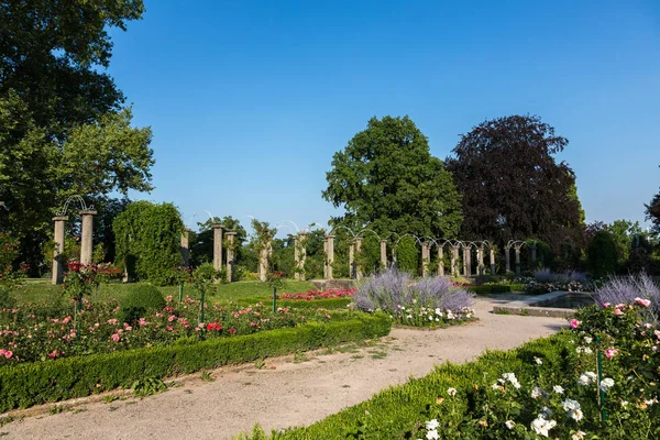 Rosenstein museum and park with roses — Stock Photo, Image