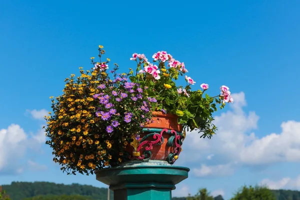 Vaso de flores em detalhe — Fotografia de Stock
