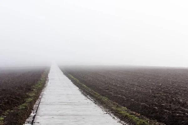 Caminho para a névoa — Fotografia de Stock
