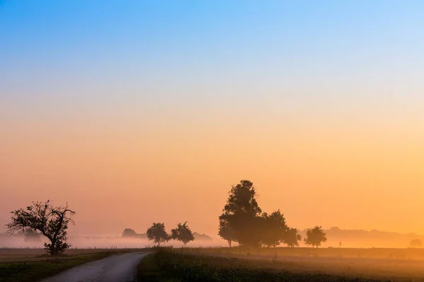 Ранковий туман і схід сонця — стокове фото