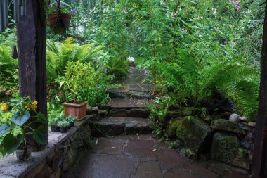 doğal Bahçe saksı