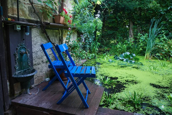 Два синих стула в саду — стоковое фото