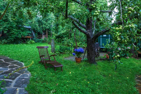 Idyllic garden with trees — Stock Photo, Image