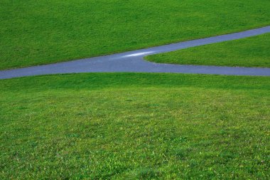 Yeşil çimenlerin üzerinde yol hiking