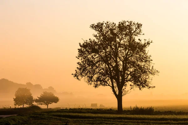 Cena de outono na manhã no campo — Fotografia de Stock