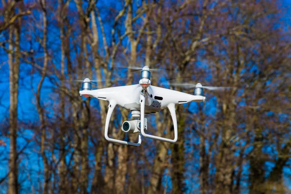 Drone szárnyal előtt fák — Stock Fotó