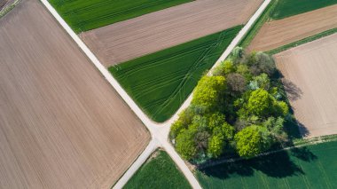 alanlar arasında çapraz yol