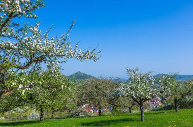 Vulkan Limburg görüntülemek 