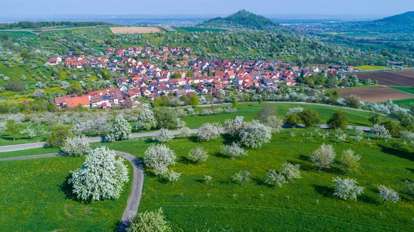 Antenne von Kirschgarten mit Aussicht — Stockfoto