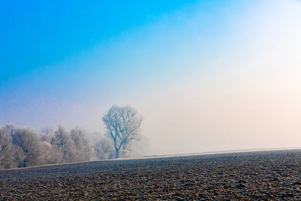 畑と霧が広がる秋の景色 — ストック写真