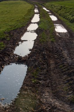 Çamur yolu gerçekten kirli.