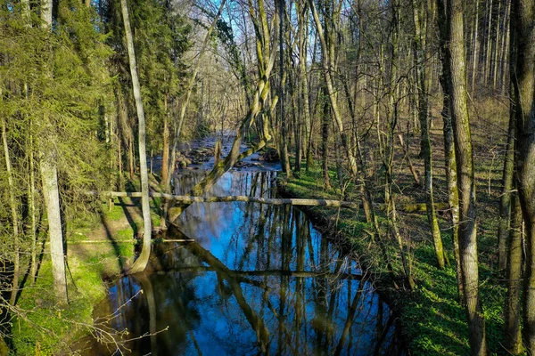 Wiosną Lesie Płynie Malownicza Rzeka — Zdjęcie stockowe