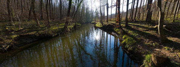 Une Rivière Pittoresque Coule Dans Forêt Printemps — Photo