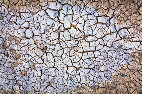 干旱期间农田里的破土 — 图库照片