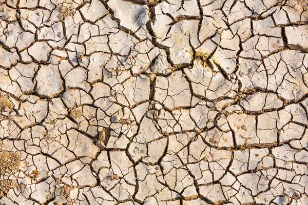 Suelo Agrietado Durante Una Sequía Campo —  Fotos de Stock