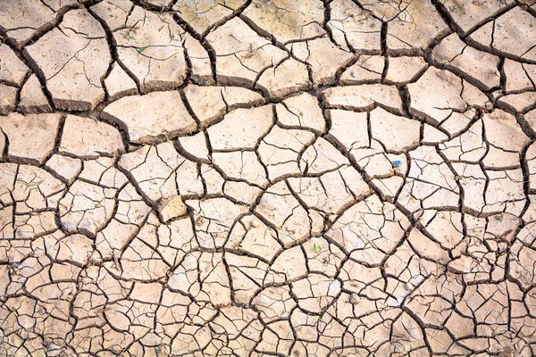 Suelo Agrietado Durante Una Sequía Campo —  Fotos de Stock