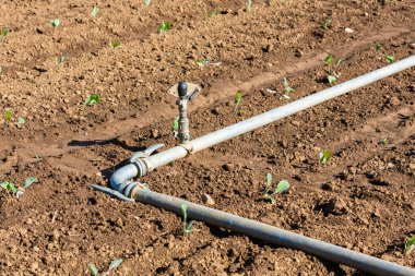Sulama için fıskiyeli borular