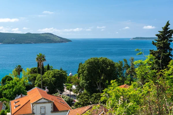 Seascape Tiled Roofs Houses Yachts Forest Sunny Day Blue Sky — Stock Photo, Image