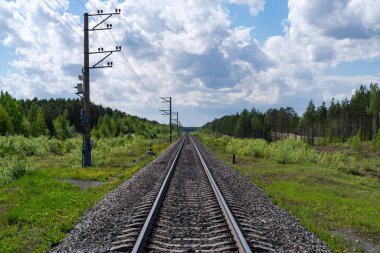 Ormandaki demiryolu Uzağa gidiyor