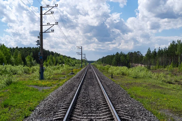 Ferrovia Nella Foresta Andando Lontananza — Foto Stock