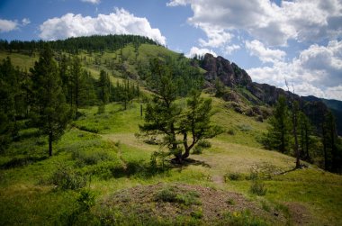  Khakassia güzel kayalarda