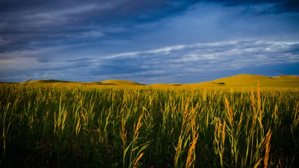 Sunset Siberian Steppe — Stock Photo, Image