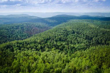 forest Hills Üstten Görünüm