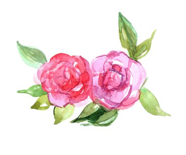 Şakayık yapraklarla, beyaz zemin üzerine suluboya resim