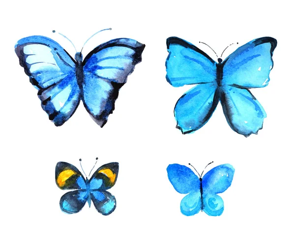 蓝色的蝴蝶，一套白色背景上的水彩插图 — 图库照片
