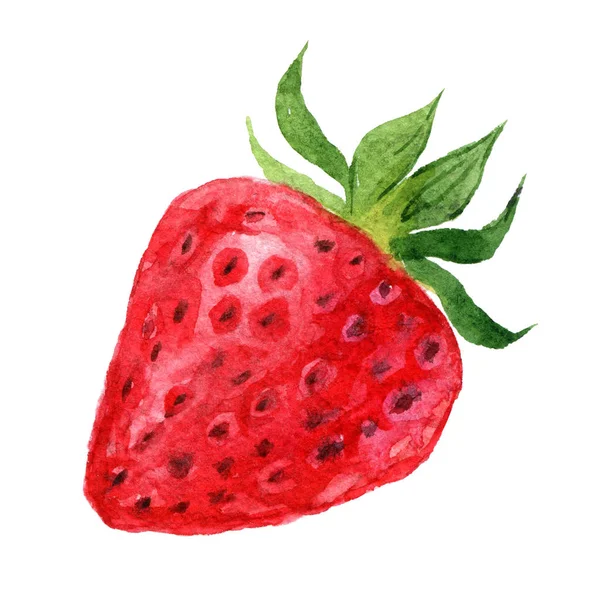 Strawberry Isolated White Background Watercolor Illustration — Stock Photo, Image