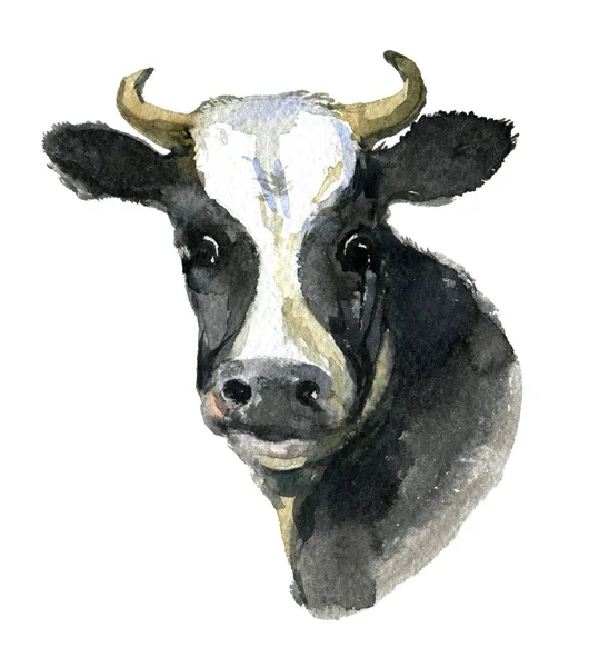 白色背景下的奶牛肖像 水彩插图 — 图库照片