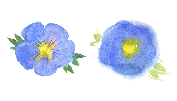 Lin Blomma Blå Blomma Isolerad Vit Bakgrund Akvarell Illustration — Stockfoto