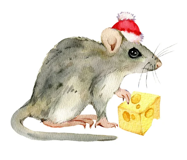 Weihnachtsmaus Weihnachtsmütze Mit Einer Scheibe Käse Auf Weißem Hintergrund Aquarell — Stockfoto